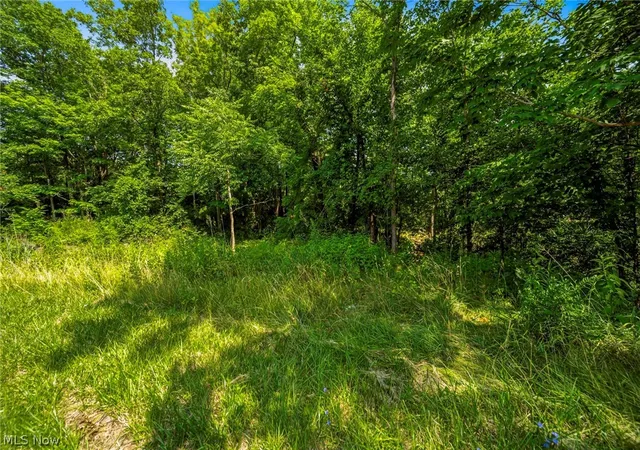 24th image of Hanna Rd, Willoughby Hills, OH 44094 | MLS# 5228006