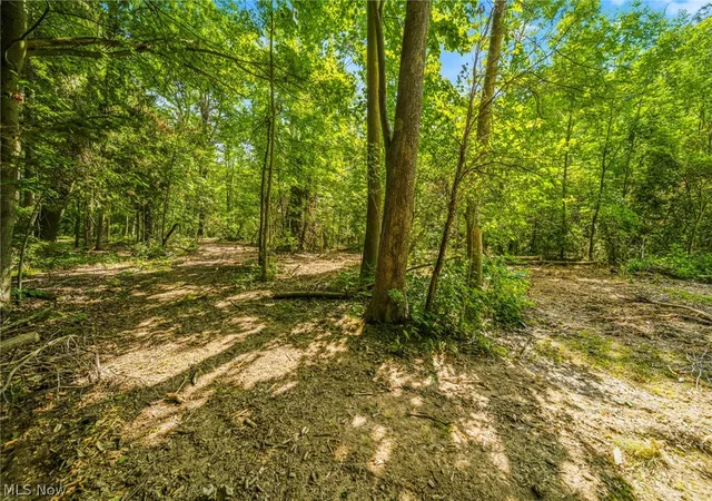 5th image of Hanna Rd, Willoughby Hills, OH 44094 | MLS# 5228006