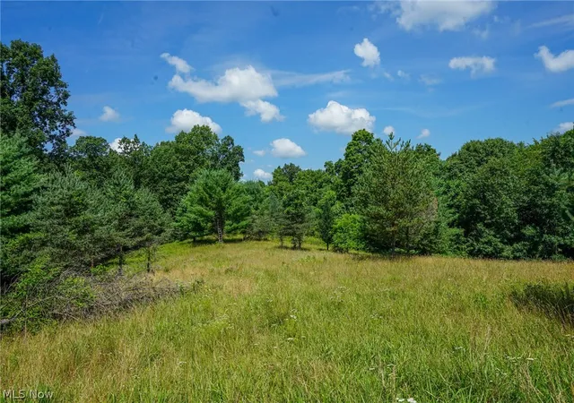 1st image of 235 Butterbean Ridge Rd, Philo, OH 43771 | MLS# 5229566