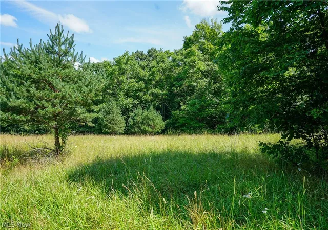 2nd image of 235 Butterbean Ridge Rd, Philo, OH 43771 | MLS# 5229566