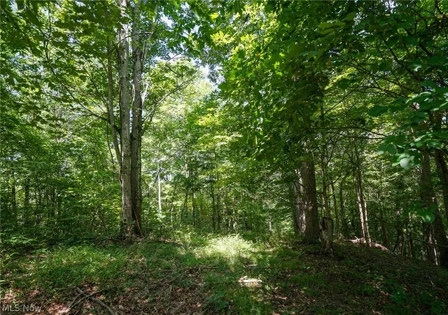 Photo 4 of Sale Pending at 235 Butterbean Ridge Rd, Philo, OH 43771 | MLS# 5229566 | Listing updated on 2026-07-30