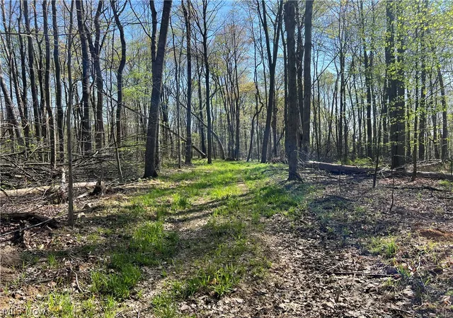 5th image of 8371 French Hill Rd Nw, Bolivar, OH 44612 | MLS# 5229619