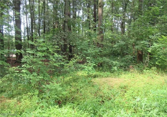 2nd image of 4th Ave, Andover, OH 44003 | MLS# 5229244