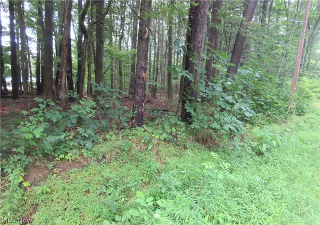 3rd image of 4th Ave, Andover, OH 44003 | MLS# 5229244