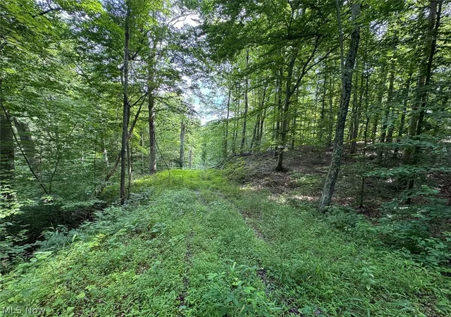 Photo 1 of Sale Pending at Township Rd 289, Corning, OH 43730 | MLS# 5229875 | Listing updated on 2026-08-18