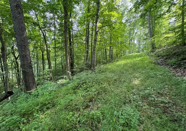 Photo 5 of Sale Pending at Township Rd 289, Corning, OH 43730 | MLS# 5229875 | Listing updated on 2026-08-18