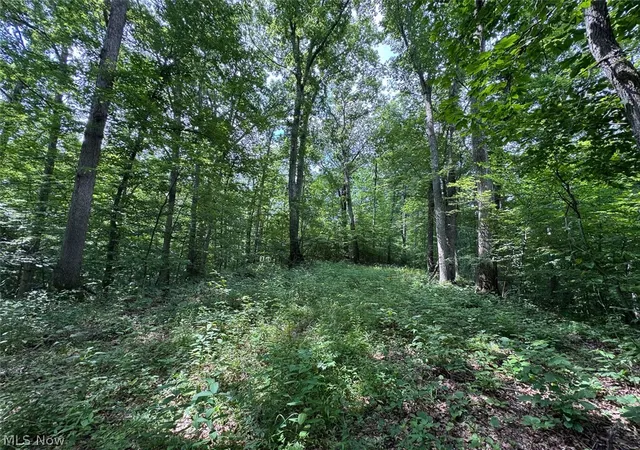 Photo 2 of Sale Pending at Township Rd 291, Corning, OH 43730 | MLS# 5229900 | Listing updated on 2026-08-18