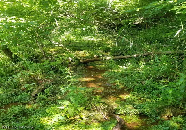 24th image of Township Road 135, Dillonvale, OH 43917 | MLS# 5229932