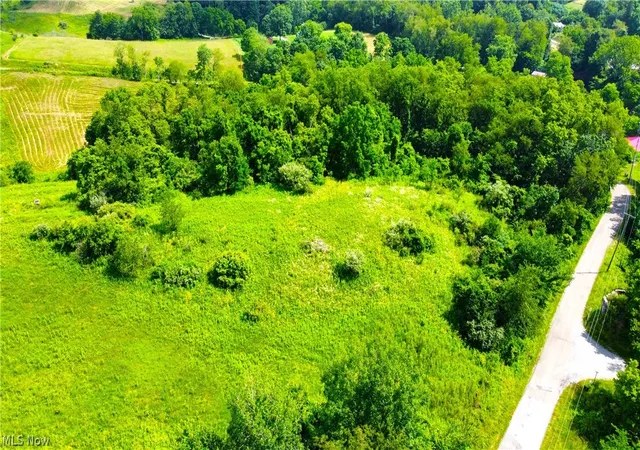 4th image of Township Road 135, Dillonvale, OH 43917 | MLS# 5229932