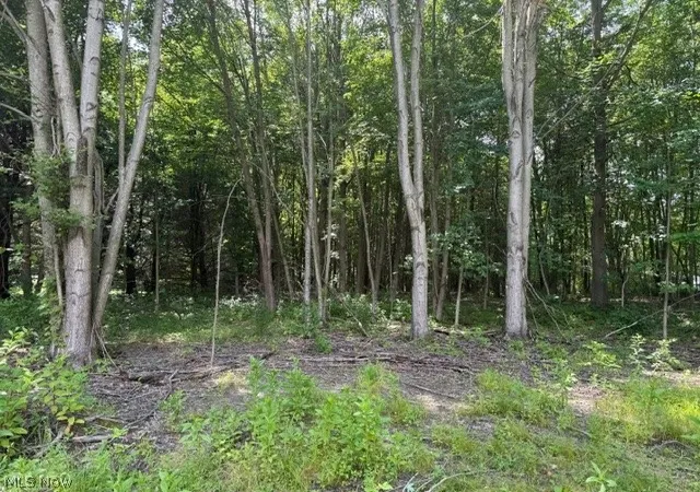 Photo 4 of Sale Pending at 3281 Biltz Rd, Kent, OH 44240 | MLS# 5229826 | Listing updated on 2026-07-31