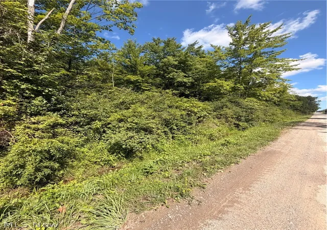 1st image of Forman Rd, Rock Creek, OH 44084 | MLS# 5230266