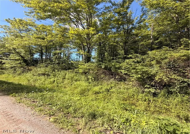 2nd image of Forman Rd, Rock Creek, OH 44084 | MLS# 5230266