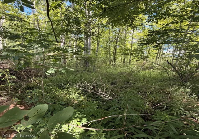 3rd image of Forman Rd, Rock Creek, OH 44084 | MLS# 5230266