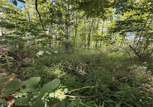 4th image of Forman Rd, Rock Creek, OH 44084 | MLS# 5230266