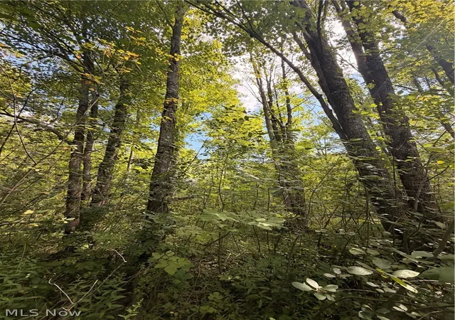 5th image of Forman Rd, Rock Creek, OH 44084 | MLS# 5230266