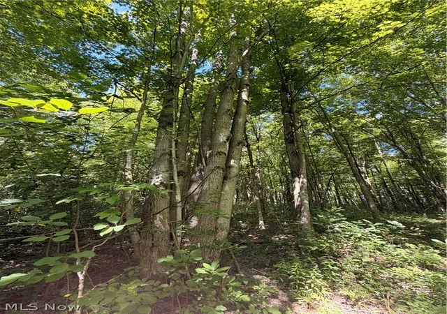 7th image of Forman Rd, Rock Creek, OH 44084 | MLS# 5230266