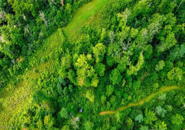 48th image of Ogles Ridge Rd, Dexter City, OH 45727 | MLS# 5230115