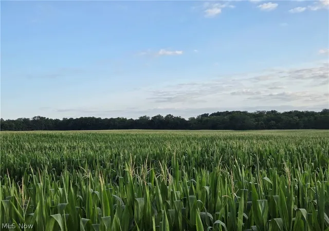 1st image of Arbella Rd, La Rue, OH 43332 | MLS# 5230179