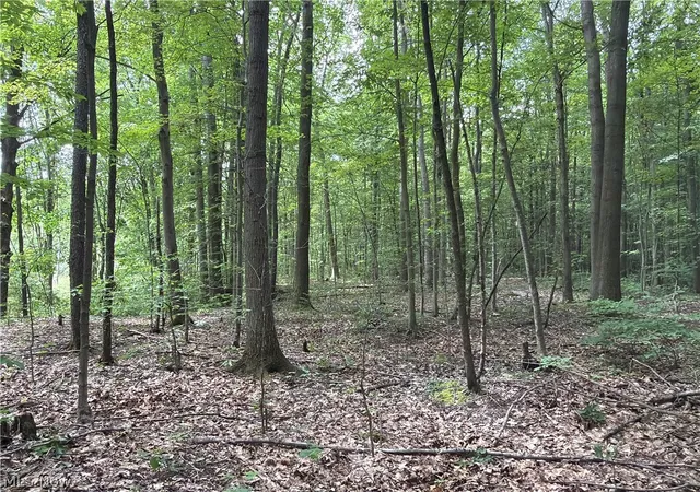 2nd image of Crosby Cook Rd, Rome, OH 44085 | MLS# 5229519