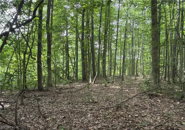 3rd image of Crosby Cook Rd, Rome, OH 44085 | MLS# 5229519