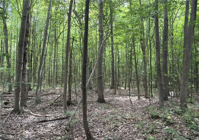 48th image of Crosby Cook Rd, Rome, OH 44085 | MLS# 5229519