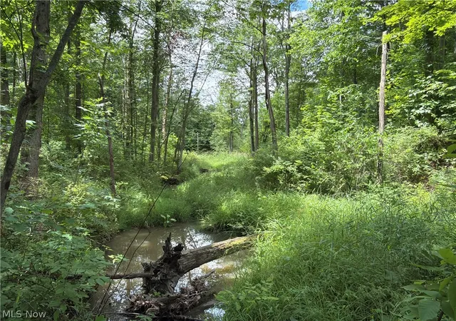 5th image of Crosby Cook Rd, Rome, OH 44085 | MLS# 5229519