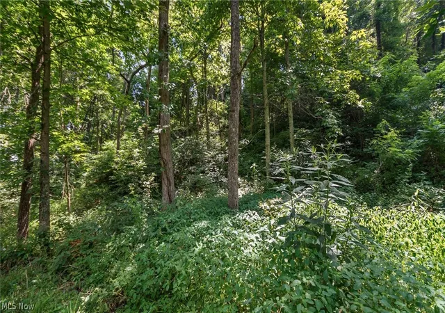 2nd image of 3200 Woodyard Rd, Stockport, OH 43787 | MLS# 5230629