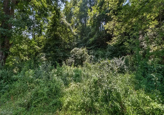Photo 3 of Land for sale at 3200 Woodyard Rd, Stockport, OH 43787 | MLS# 5230629 | Listing updated on 2026-09-28