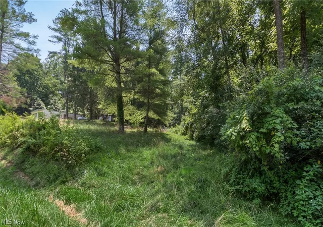 Photo 3 of Land for sale at 3200 Woodyard Rd, Stockport, OH 43787 | MLS# 5230629 | Listing updated on 2026-09-28
