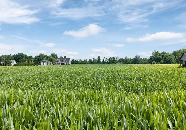 4th image of Old Mill Rd, Spencer, OH 44275 | MLS# 5230594