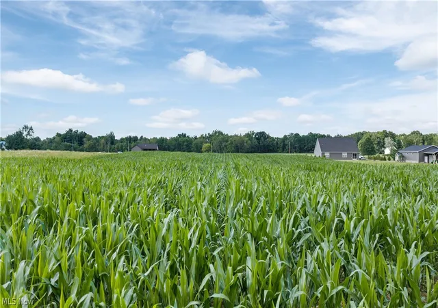 5th image of Old Mill Rd, Spencer, OH 44275 | MLS# 5230594
