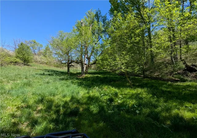 21st image of 0 Sandy Lane, Chesterhill, OH 43728 | MLS# 5230779
