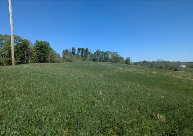 4th image of 0 Sandy Lane, Chesterhill, OH 43728 | MLS# 5230779
