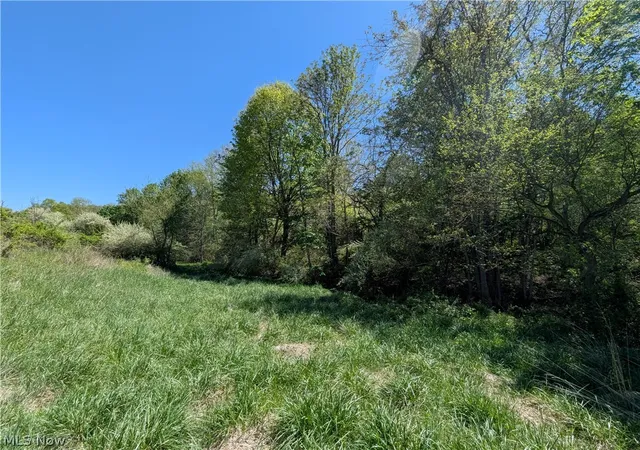 5th image of 0 Sandy Lane, Chesterhill, OH 43728 | MLS# 5230779