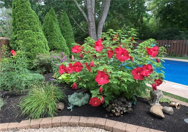 Photo 4 of Sale Pending at 559 Berkshire Dr, Medina, OH 44256 | MLS# 5230563 | Listing updated on 2026-08-10