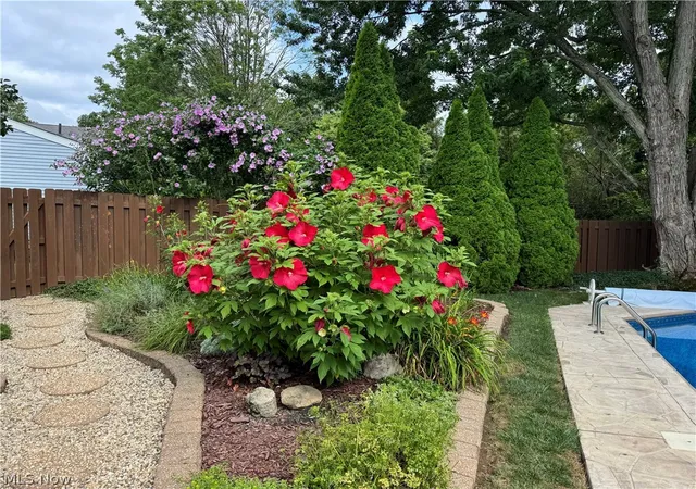 Photo 5 of Sale Pending at 559 Berkshire Dr, Medina, OH 44256 | MLS# 5230563 | Listing updated on 2026-08-10