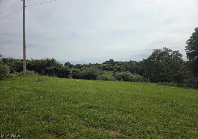 3rd image of 50160 & 50164 St Clair St, St Clairsville, OH 43950 | MLS# 5229597