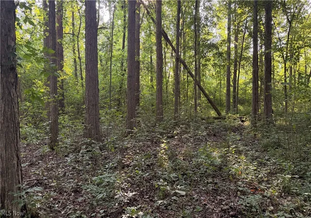 1st image of St Route 43, Streetsboro, OH 44241 | MLS# 5230626