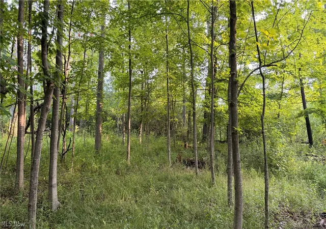 3rd image of St Route 43, Streetsboro, OH 44241 | MLS# 5230626
