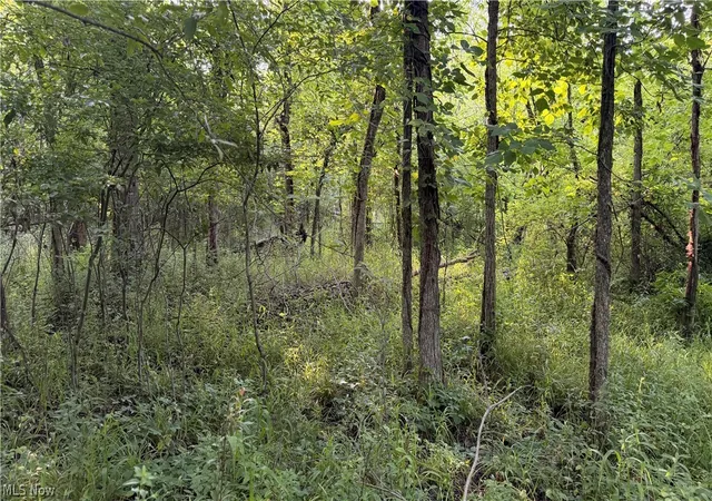 4th image of St Route 43, Streetsboro, OH 44241 | MLS# 5230626