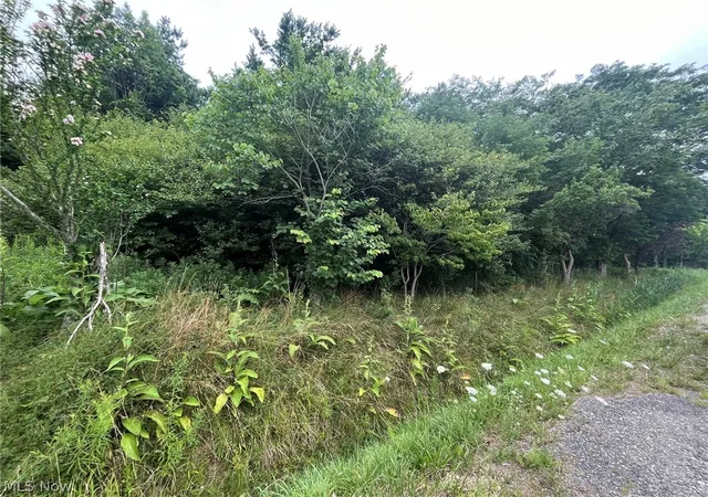 1st image of Buie Rd, Kingsville, OH 44048 | MLS# 5231041