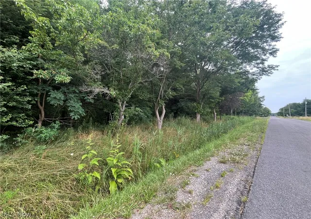 3rd image of Buie Rd, Kingsville, OH 44048 | MLS# 5231041