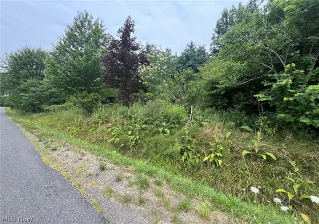 4th image of Buie Rd, Kingsville, OH 44048 | MLS# 5231041