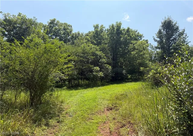 Photo 3 of Land for sale at 1625 Ac Rear 17th Ave, Parkersburg, WV 26101 | MLS# 5231112 | Listing updated on 2026-07-27