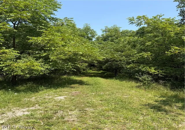 Photo 4 of Land for sale at 1625 Ac Rear 17th Ave, Parkersburg, WV 26101 | MLS# 5231112 | Listing updated on 2026-07-27