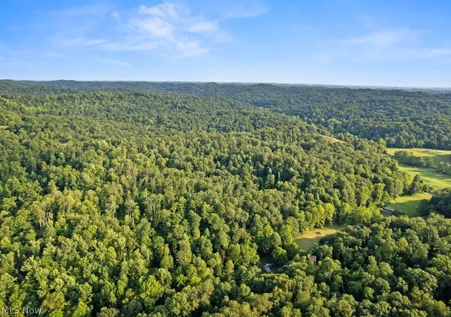 42nd image of 102 Logston Run Rd, Ravenswood, WV 26164 | MLS# 5230842