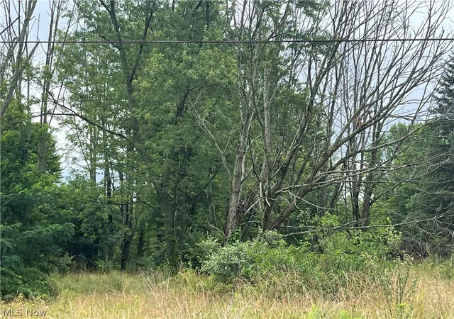 5th image of Stanley Rd, Garrettsville, OH 44231 | MLS# 5231192