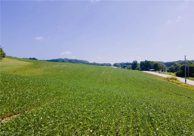16th image of 18412 Pigeon Roost Rd, Howard, OH 43028 | MLS# 5231268