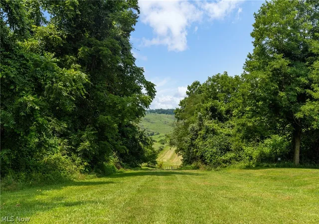 19th image of Pultney Ave, Barnesville, OH 43713 | MLS# 5231177