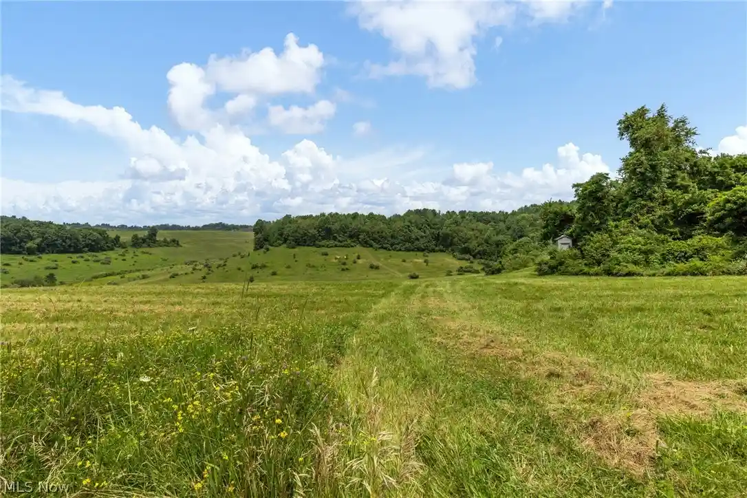 Photo 1 of Land for sale at Pultney Ave, Barnesville, OH 43713 | MLS# 5231177 | Listing updated on 2026-10-13